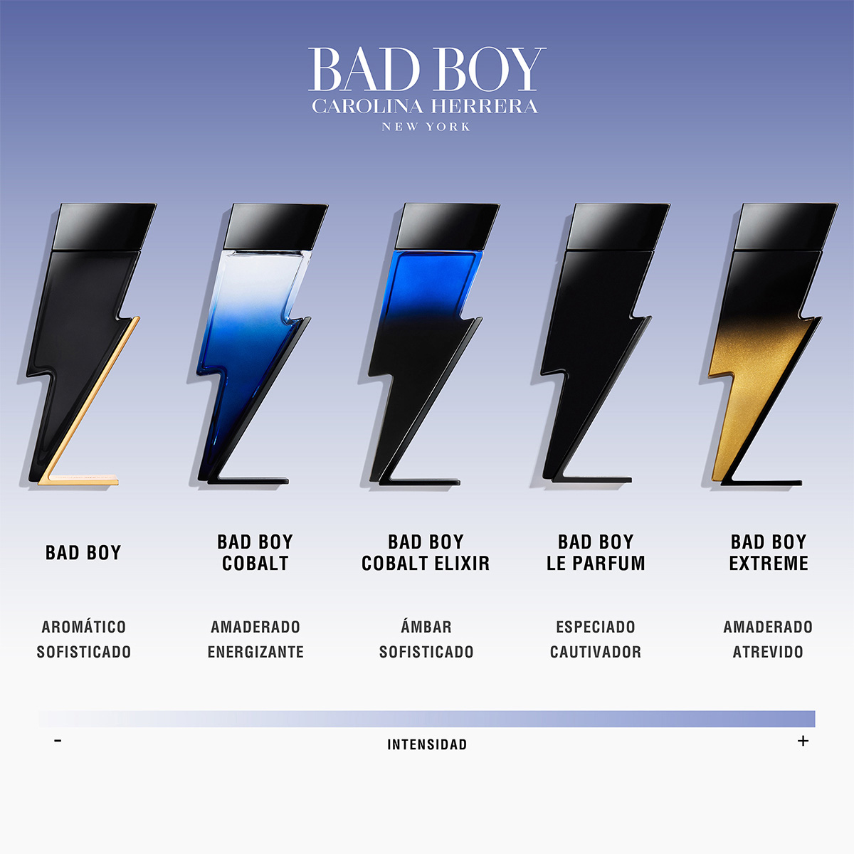BAD BOY COBALT SET EAU DE PARFUM